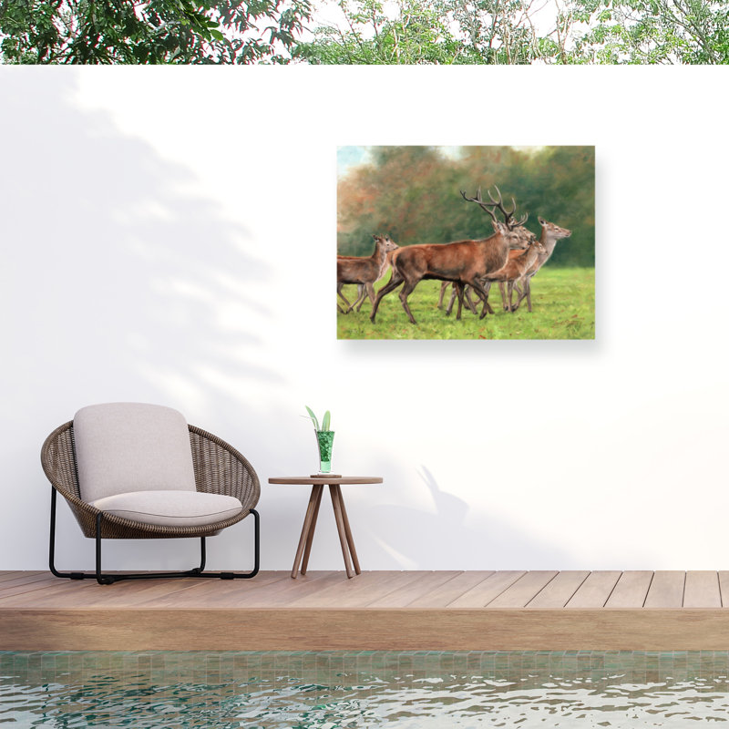 Toile d'extérieur David Stribble Red Deer, H 18 po x l 24 po