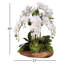 Real Touch Silk Orchid Faux Floral Arrangement