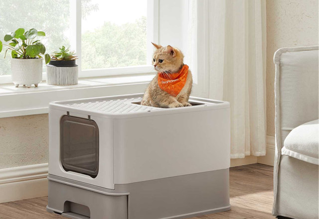 Litter Boxes Under $100