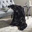 Couverture-161263803