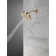 Multi Function Fixed Shower Head