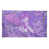 Purple selected