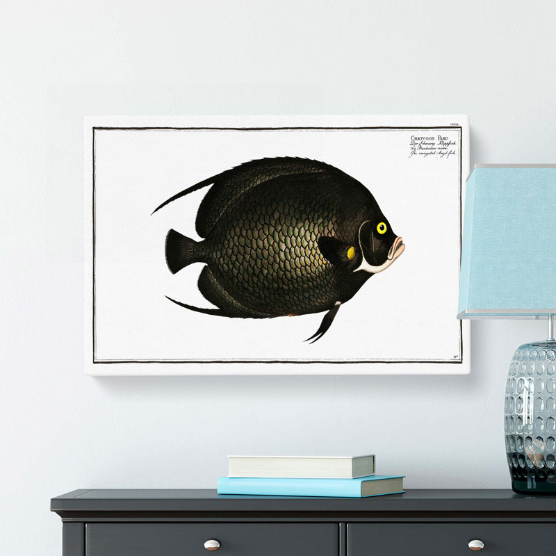 Variegated Angel-Fish by M.E. Bloch - Wrapped Canvas, 35cm H x 50cm W x 3cm D