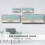 Padre Island Shore Birds - toile encadrée-129810200