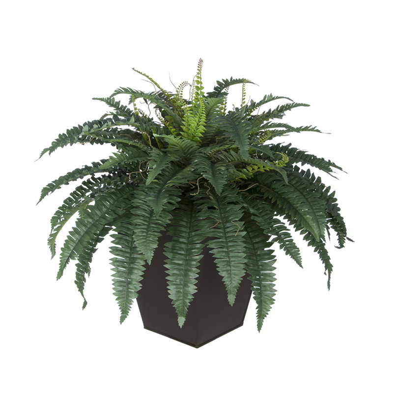 Plantes artificielles 12" en pot de fleurs, Brun mat