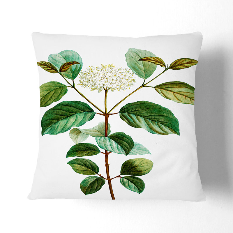 Square Cushion, Stone, 55cm H x 55cm W x 20cm D