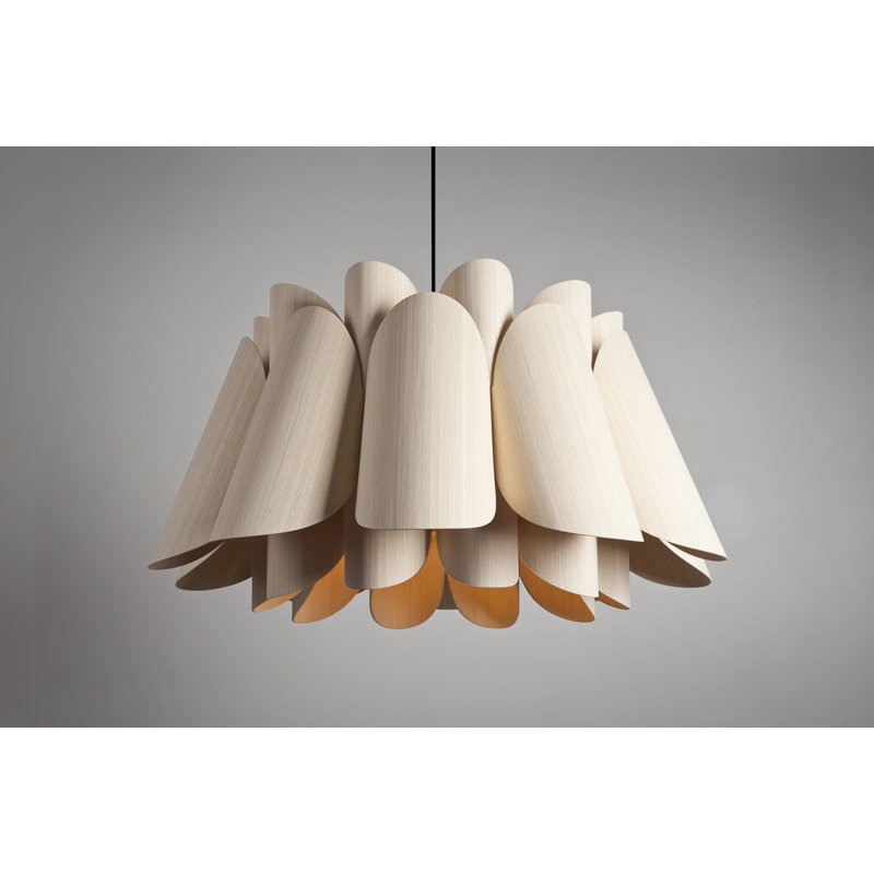 Federica 1-Light Black Pendant, Ash