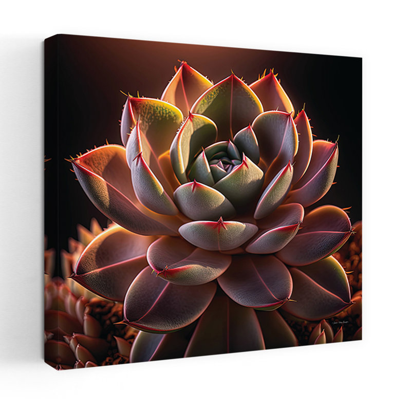 «Succulent Sunset I», art contemporain abstrait avec cactus, H 32 po x l 32 po
