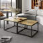 Sattley 2 Piece Coffee Table-986794377-986794376