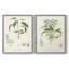 Impression encadrée botanique antique I-Premium - prête à être accrochée - aucun clou requis-1627489726-1627489727