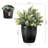 Artificial Eucalyptus Plant Pot in Concrete Planter