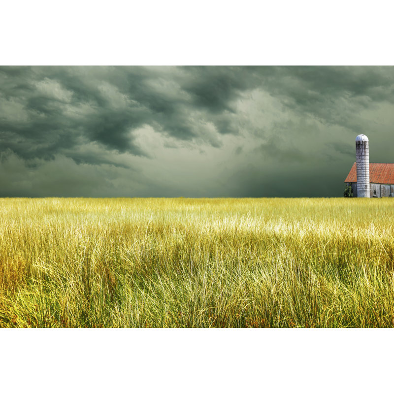 «Yellow Field» par James McLoughlin - photographie sur toile tendue, H 24 po x l 36 po