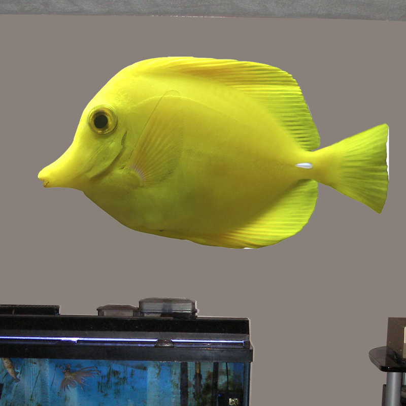 Adhésif décoratif Tang, H 13 po x l 24 po