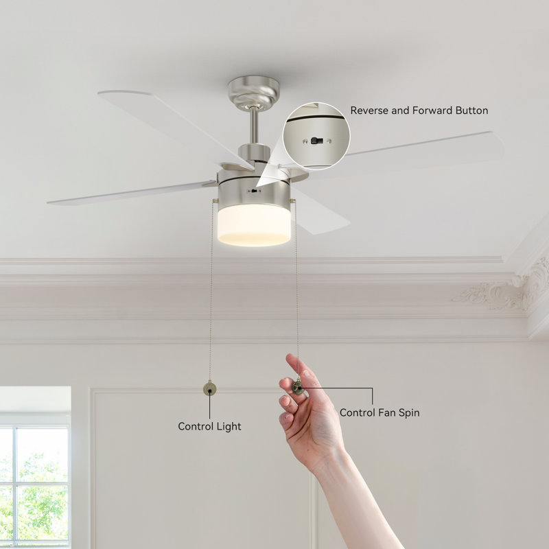Ventilateur de plafond à chaîne à 4 pales 52 po avec lumière Cigdem , Nickel brossé