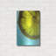 «Lemon Wheel» par Dana Brett Munach-670565670