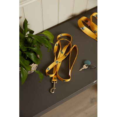 Busy Bee Printed Pet Lead S