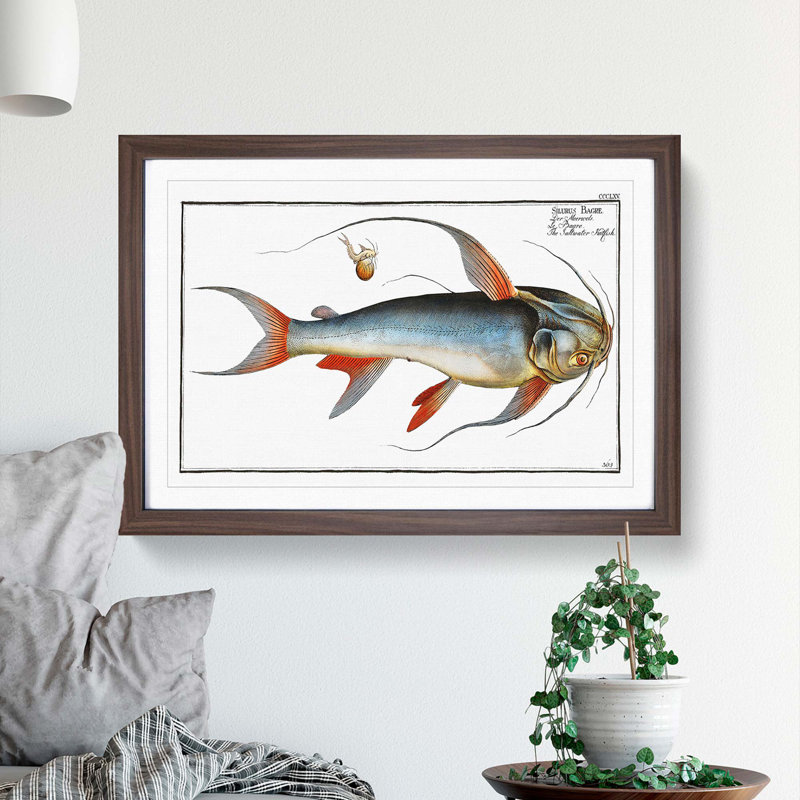 Saltwater Catfish by M.E. Bloch - Picture Frame Painting Print, 36cm H x 48cm W x 2cm D, Walnut Framed