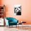 «Curious Cat Looking Contemporary», art mural-129149391