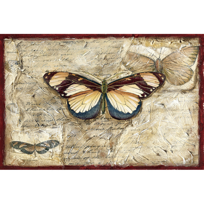 Poetic Butterfly I by Chariklia Zarris - Wrapped Canvas Print, 30cm H x 46cm W