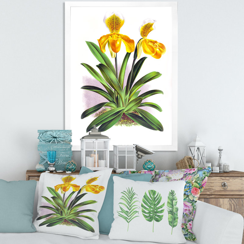 Orchidée jaune rétro - reproduction de cadre photo sur toile, H 20 po x l 12 po x p 1 po, Blanc