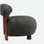 Fauteuil d'appoint Modern-1725691475