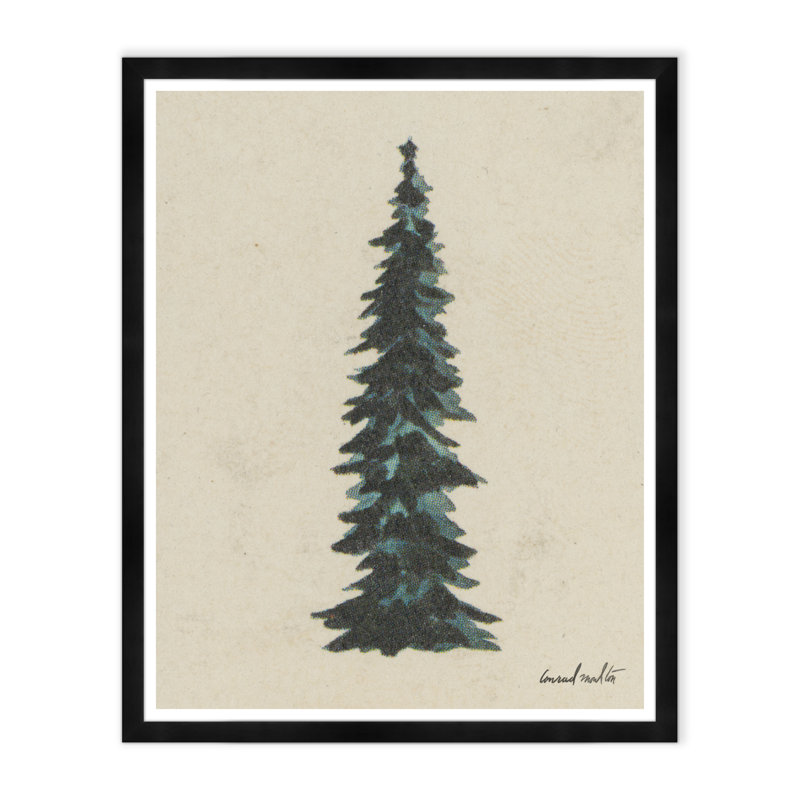 Spruce Print