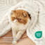 Couverture en molleton pour lit simple / simple TG de Litsure - Jeté en peluche ultra doux pour chambre de dortoir - Blanc-105505778-105505774