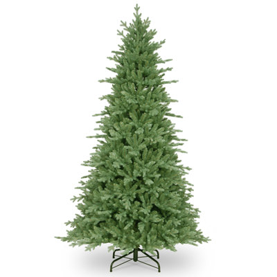 7ft Buckinghamn Spruce Tree