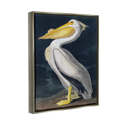 " Pelican On Night Shore " by Incado