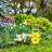 Marius Animals Weather Resistant Resin Garden Statue
