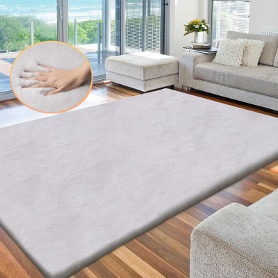 Perrusquia Washable Indoor Rug
