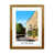 Brown Framed is unavailable