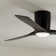 Ochre 48'' Ceiling Fan with LED Lights