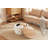Coffee Table-673916745-676528831