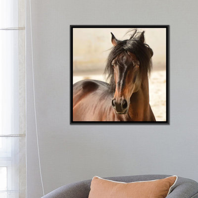 « casanova » par tony stromberg, reproduction de photo sur toile tendue