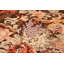 Tapis brun primitif Karabagh