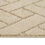 Reagyn Geometric Indoor Doormat