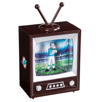 Miami Dolphins Lighted Vintage TV Water Lantern