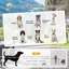 Collapsible Pet Carrier-983548232-983548234