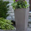 Valencia Planter-1610035897-1610035898