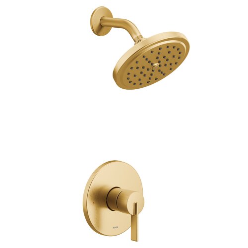 Moen Cia Shower Faucet with Immersion & Reviews | Wayfair