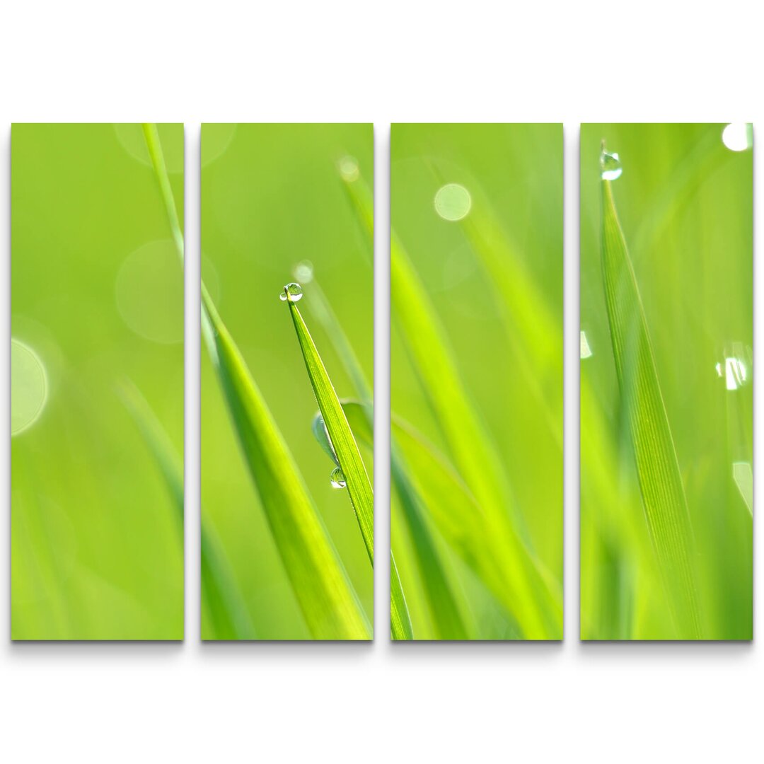 4-tlg. Leinwandbilder-Set Grass mit Tau