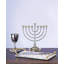 Roseland Menorah-2106433020