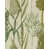 Green/Ivory selected