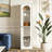 Tall Display cabinet