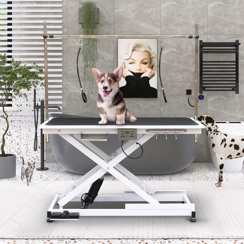 Professional Electric Grooming Table, White