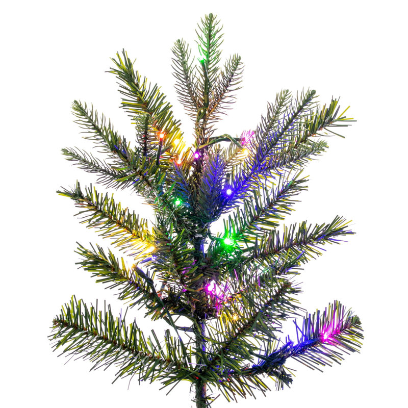  Sapin Sheldon 10mm x 10 "3mm 3200CC, 10 pi x 72 po, Lumières DEL