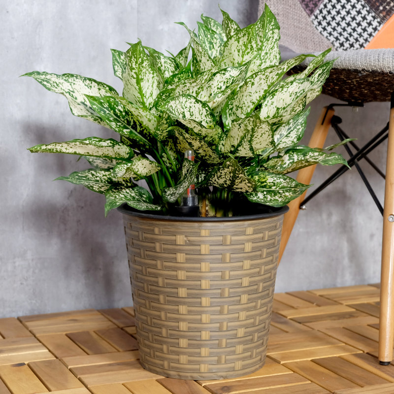 10.2" Round Natural Decorative Planter With Self-Watering - For All Weather Indoor & Outdoor Seasons And Use, Beige