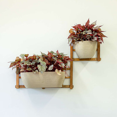 Wall Planter