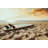 Surfboard On Beach Background At Sunset.-1290085986